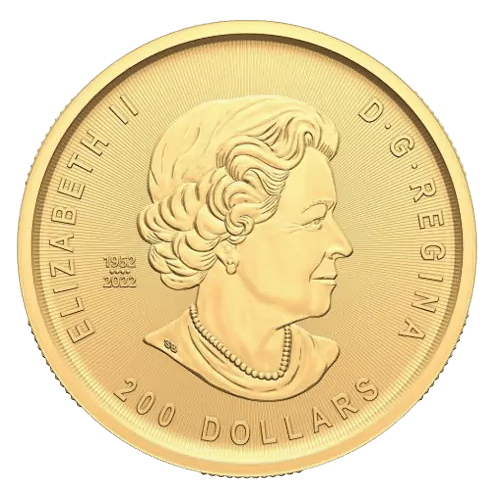 Klondike 1 oz - 31,1 gr guldmønt 999,99‰ rent guld - pureste guld - køb guldmønter til bedste guldpriser
