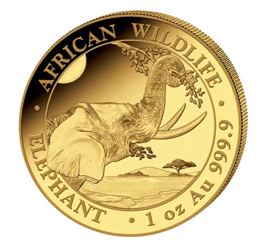 1 oz guldmønt Somali elephant 31,1 gr rent guld. Køb guldmønter til bedste guldpriser