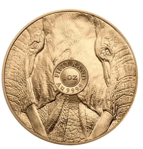 Big 5 guldmønt år 2024 - Køb guldmønter hos Vitus Guld online til bedste guldpris online